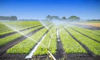 Hand Shift Irrigation