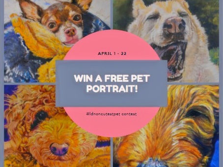 #ldnoncutestpet contest