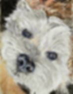 Lucy