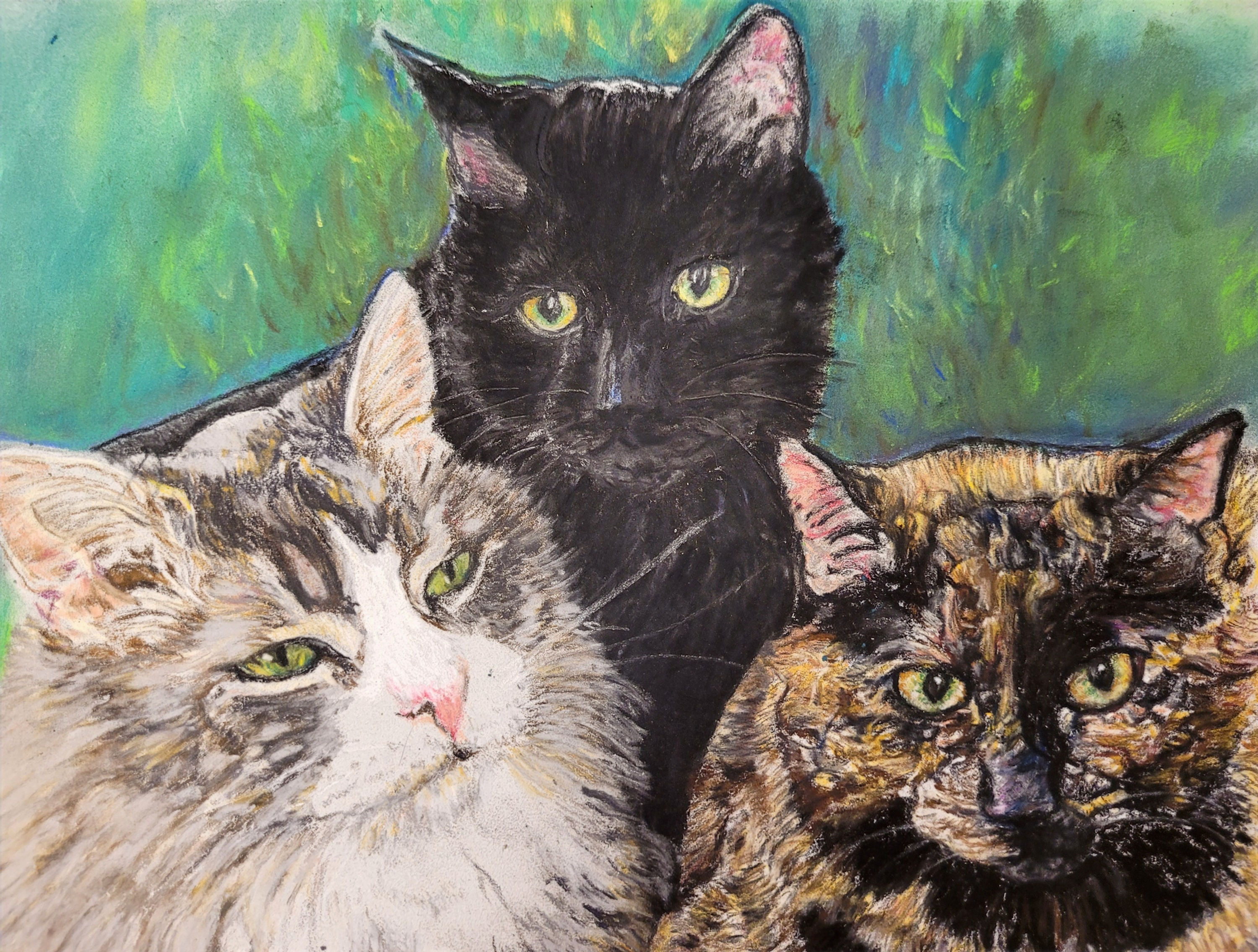 Drawing of 3 cats  - 1 black, 1 white and grey long haired and 1 tortoise shell in pastel