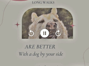 Take a walk in the park Day - March 30 2021