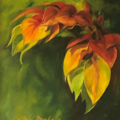 Panamenian flowers.jpeg