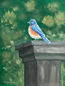 Bluebird in Waiting