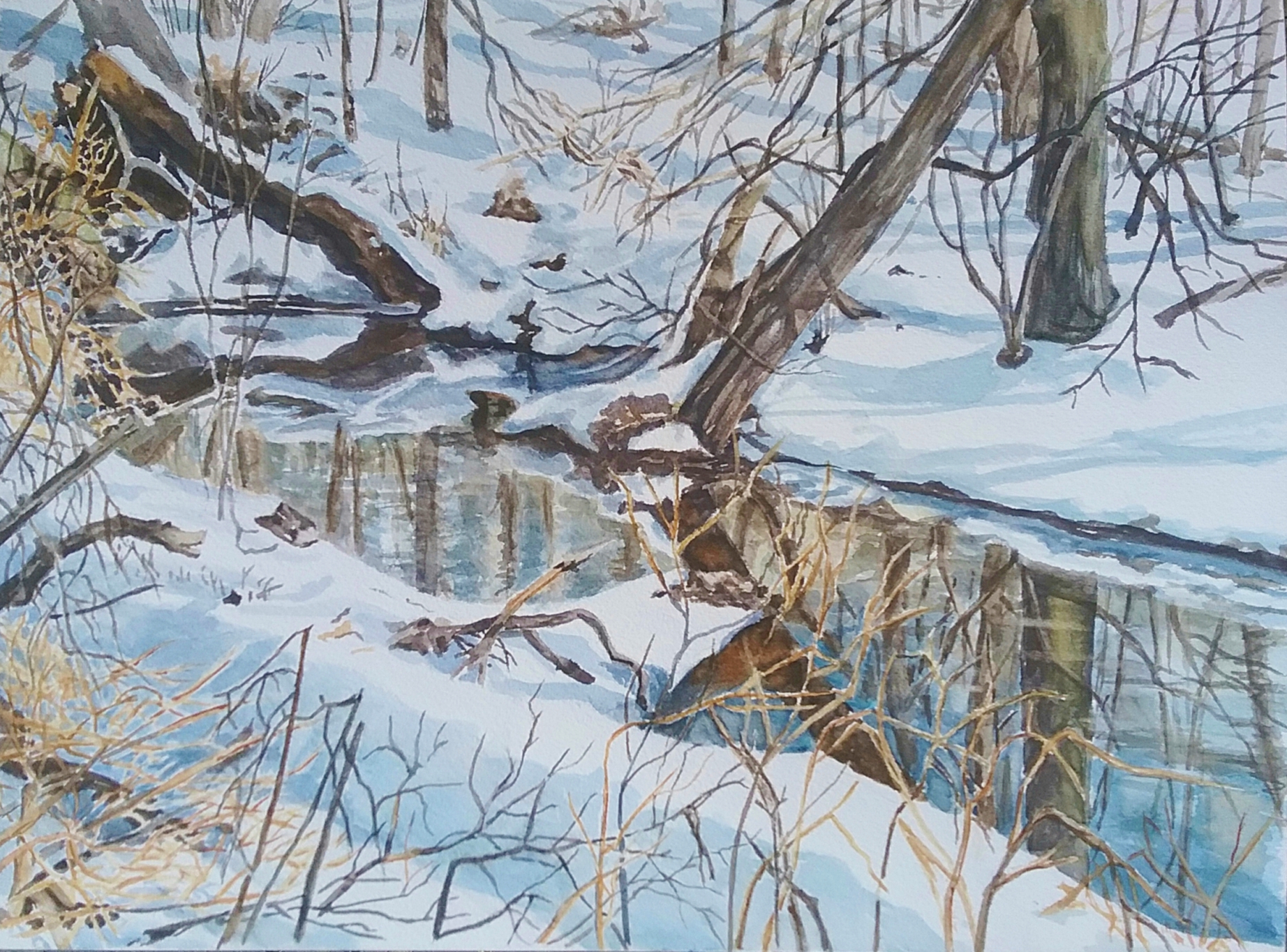 Mine Brook in Winter-2
