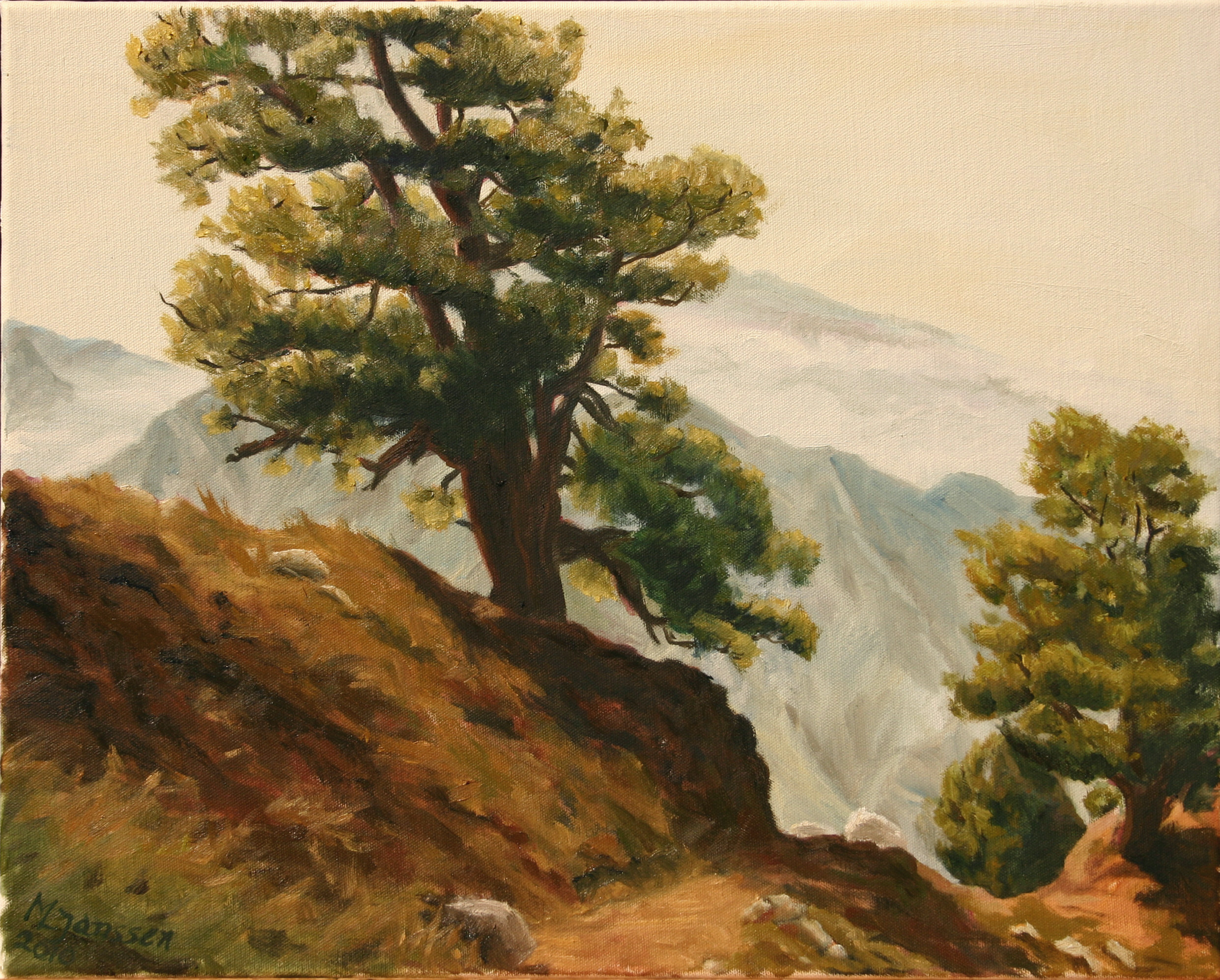 Mountain Pathway