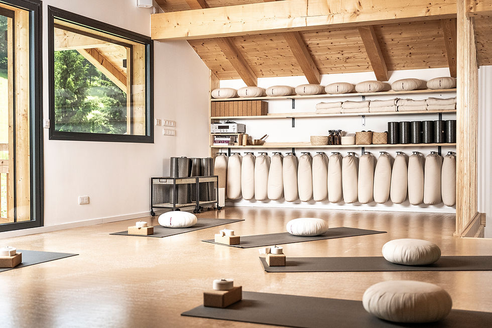 La salle de pratique de yoga et arts aériens.