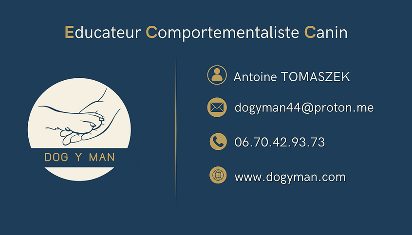 Educateur Comportementaliste canin à domicile sur Cordemais et aux alentours
