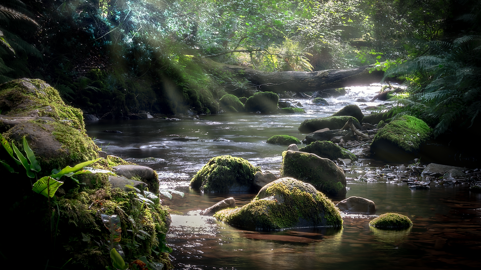_DSC0183-HDR-Edit.png