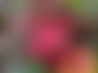 Natural inspiration – Winter and Jennie-maree Tempest's textile art