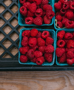 Produce Wholesale Packaging