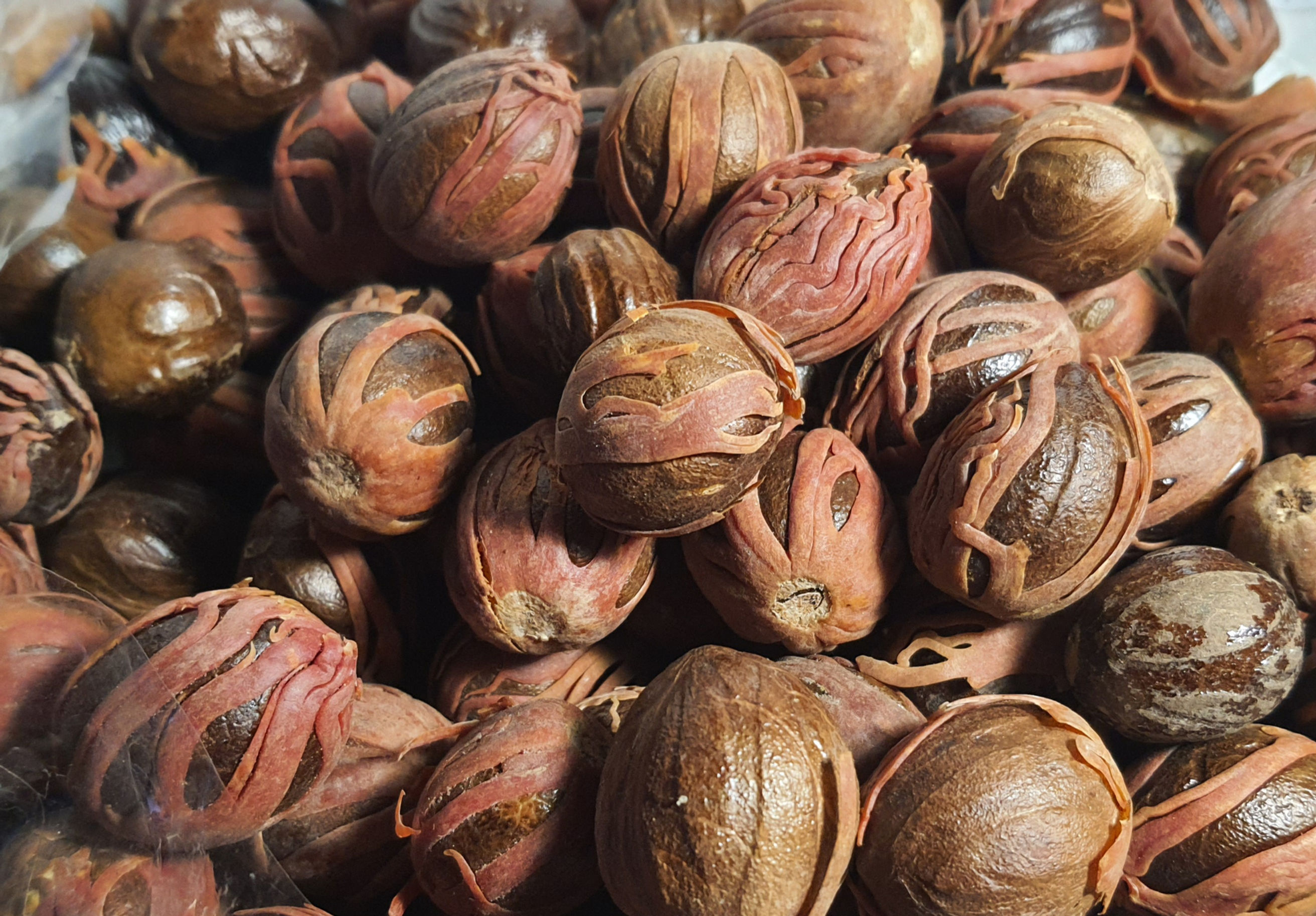 Noix de Muscade Complète avec Macis