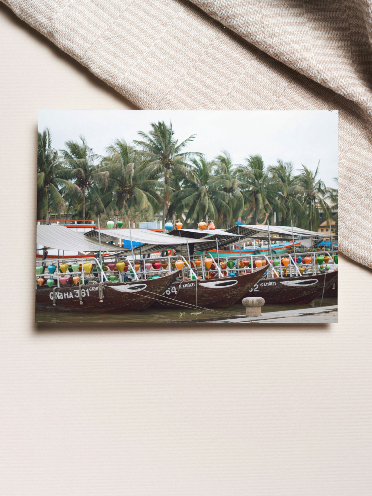 Boats & Palm Trees