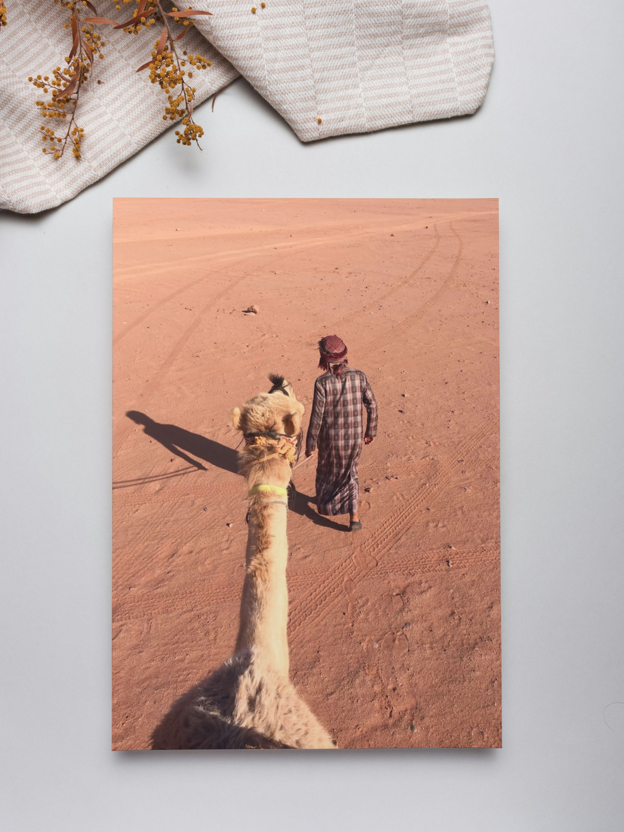Desert Ride