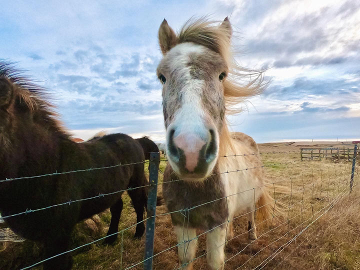 A218E44B-F3D4-425A-8541-AFC7F8676DB7 2.JPG