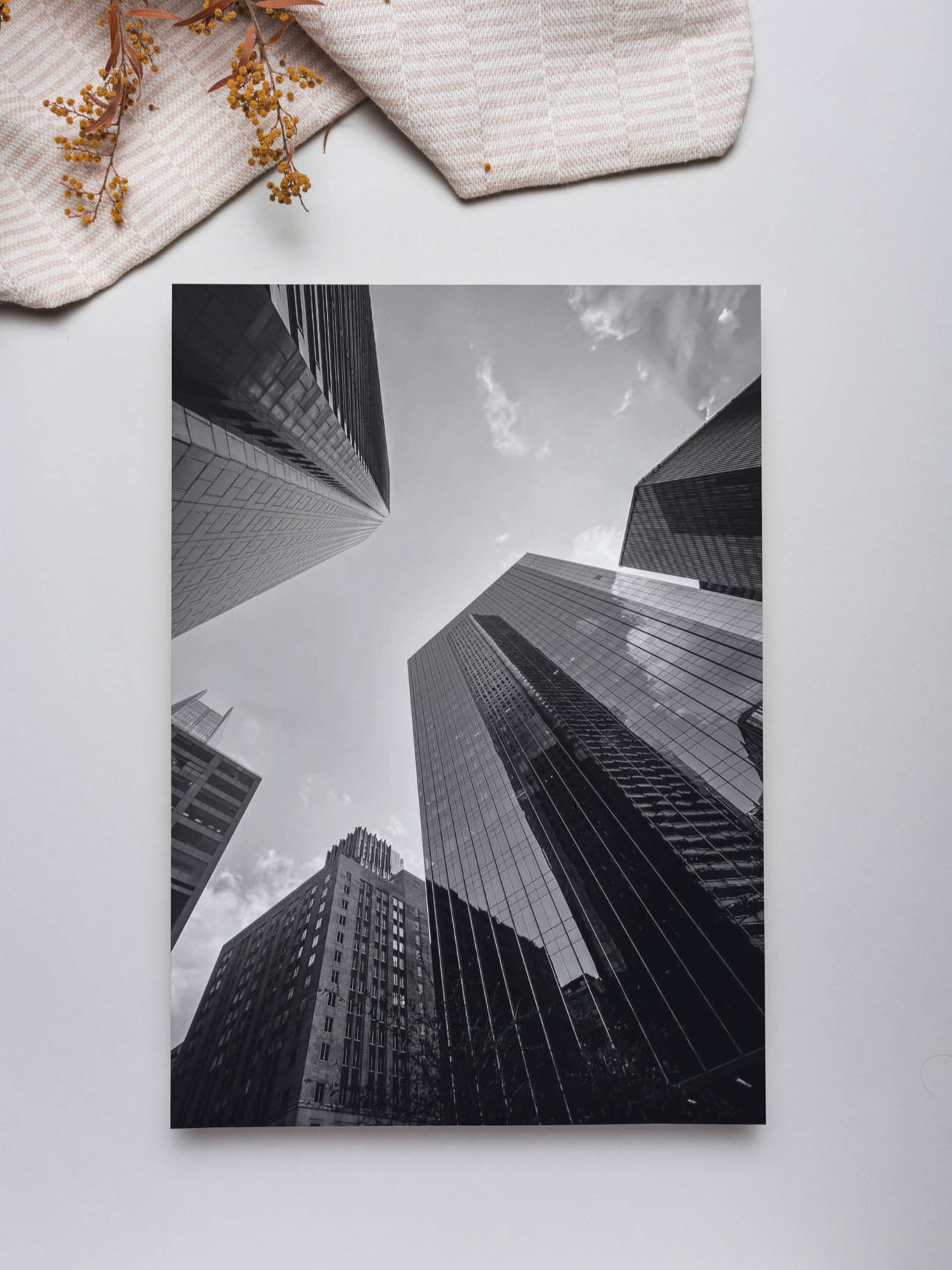 Look Up in Houston 2
