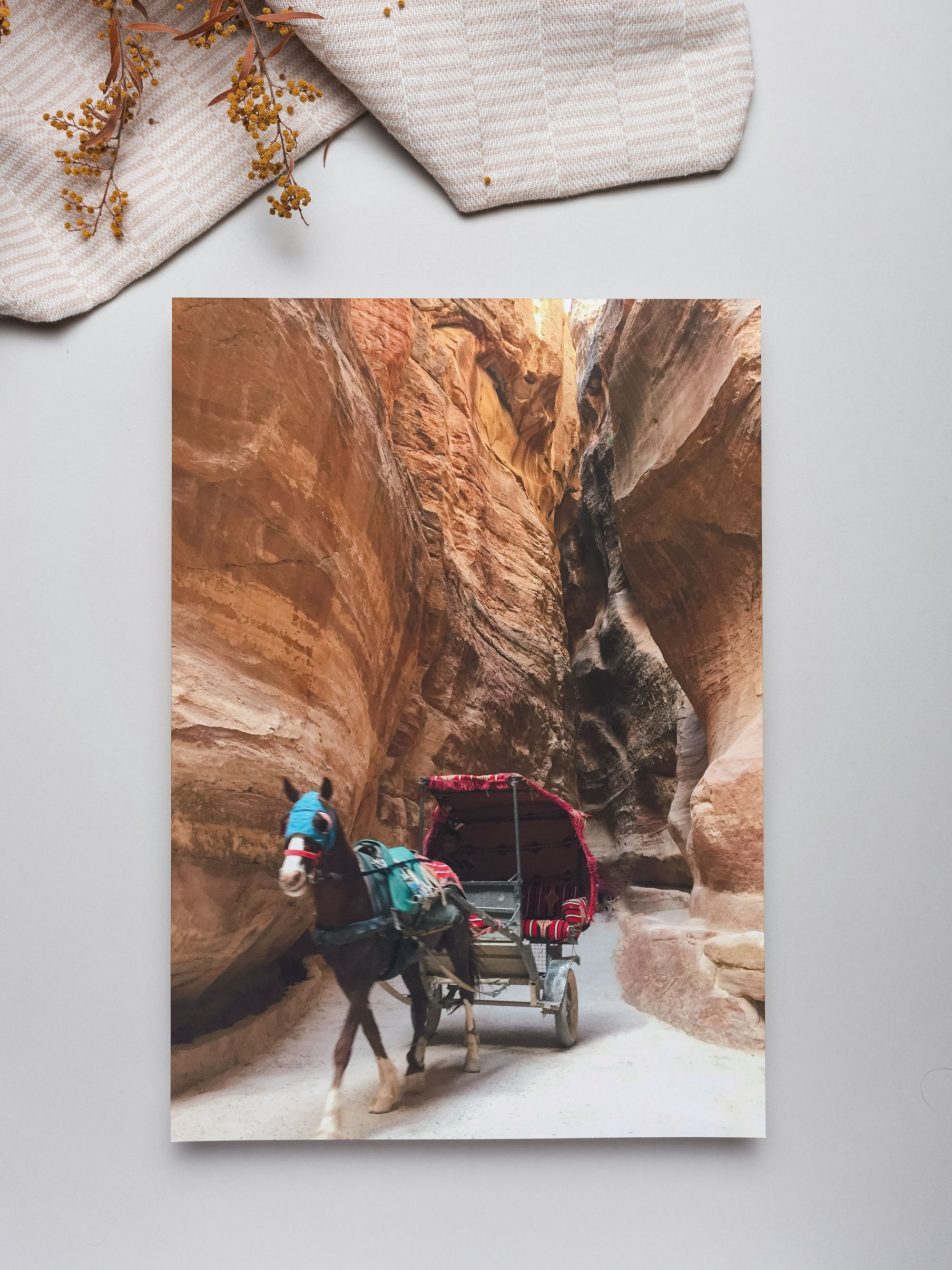 Petra Canyon