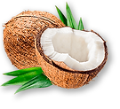 03 - Кокос мал.png
