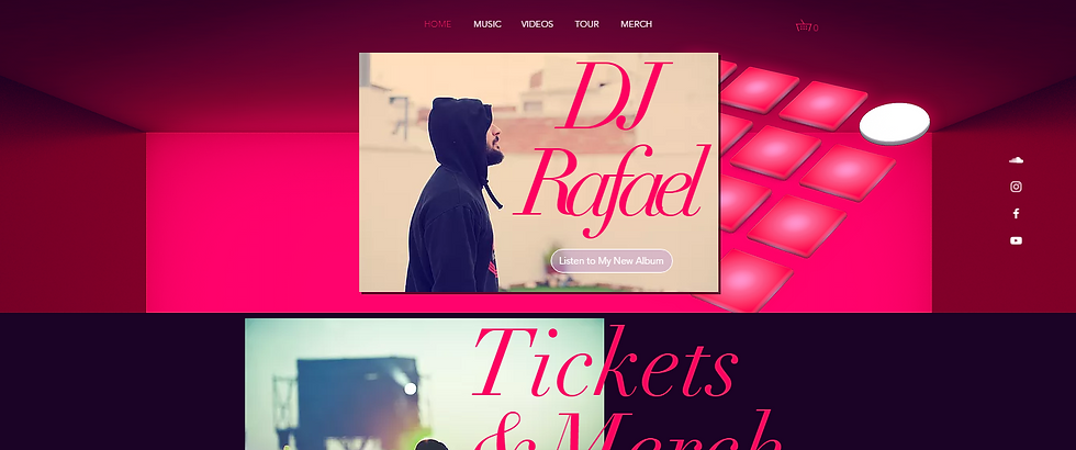 Musician Website Example