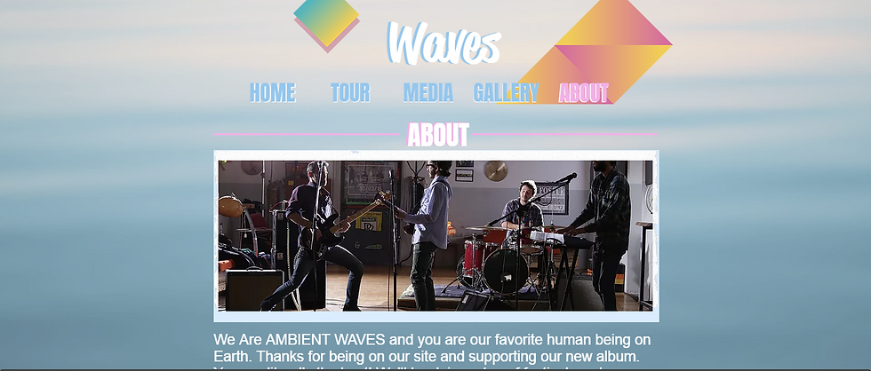 Musician Website Example 2