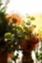 close up of kauai flowers