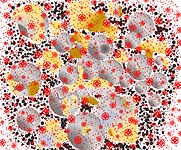 03 - Microcav 02.jpeg