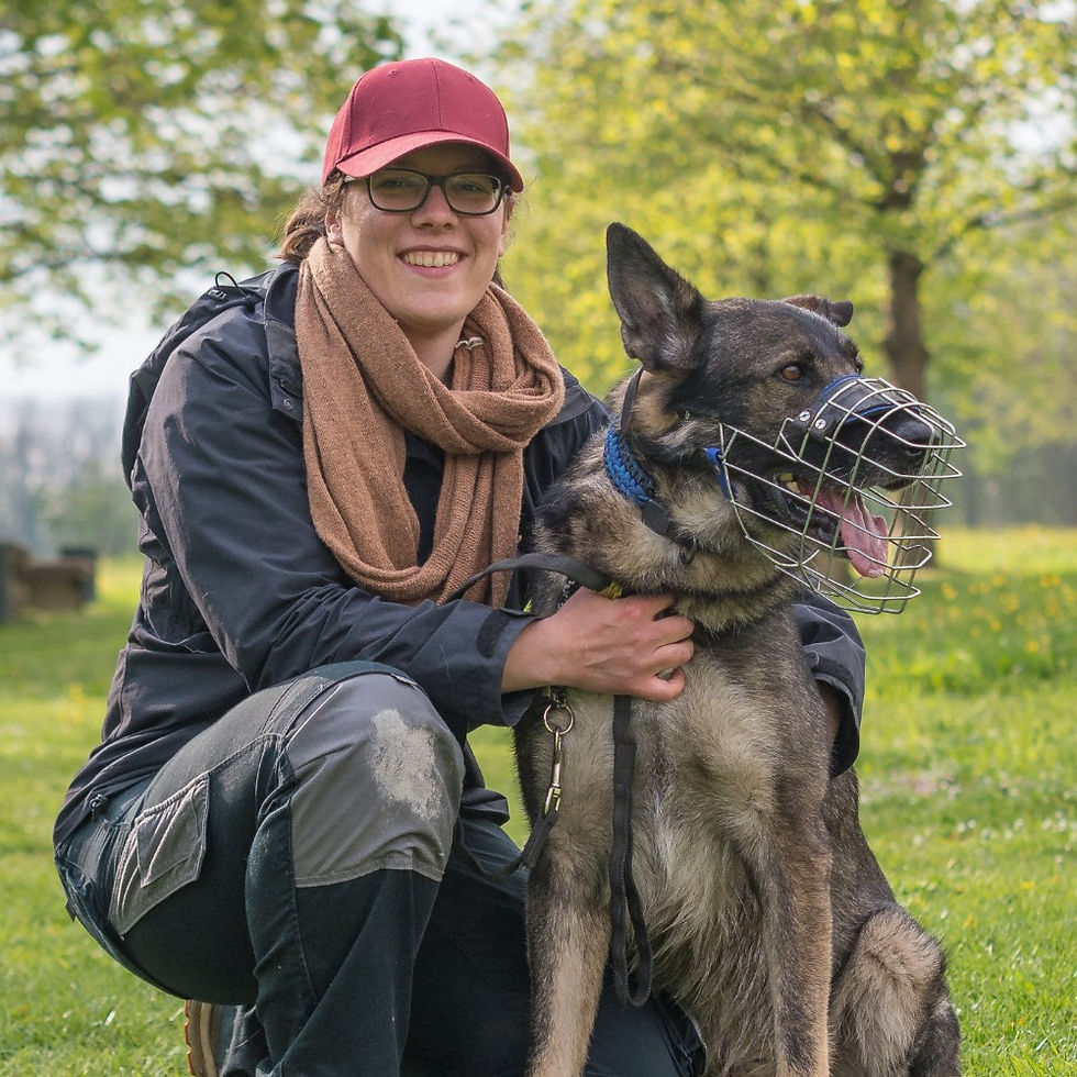 Jako und Kiba