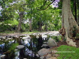 Chinnar Wildlife Sanctuary and Megalithic monuments: Marayoor