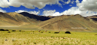 9. Tso Moriri - through the no-man's land: Mesmerizing trip to the Himalayas