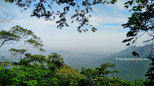 Enticing expedition through the Kolli Hills (Kollimalai)