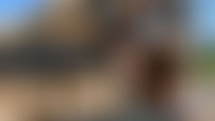 The Importance of Leaning on Your Support