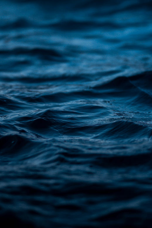 imleedh-ali-Uf-_p8zZiT8-unsplash.jpg