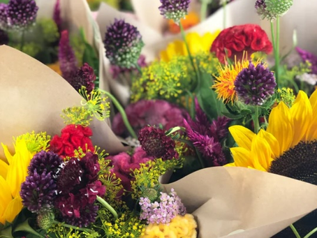 What is The Best Gardening Method For You?