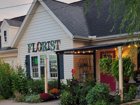 The Impact of Native Plants on Local Ecosystems