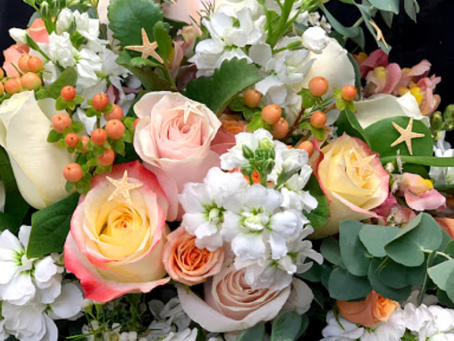 Top Edible Flowers to Try