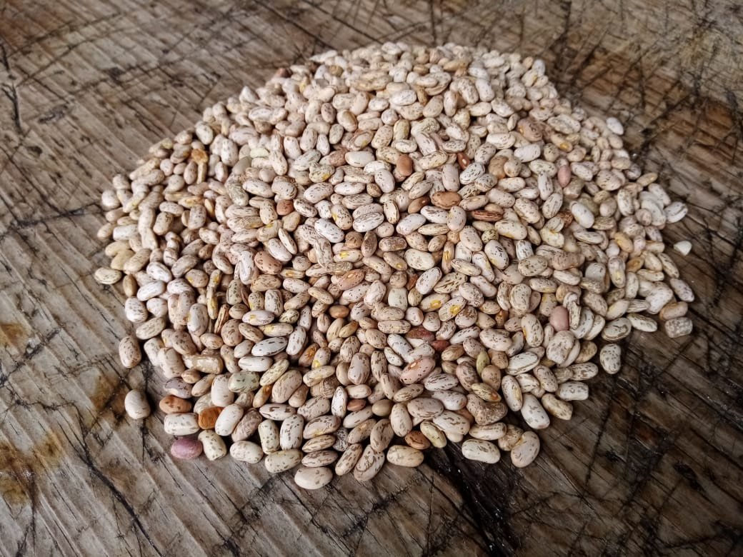 Frijol pinto por kilo