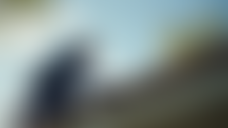 Expert Home Inspections for Los Angeles Homeowners