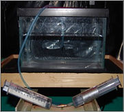 Eurycea Testing Chamber.jpg