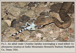 Screen Shot 2018-09-11 at 8.23.41 PM.png