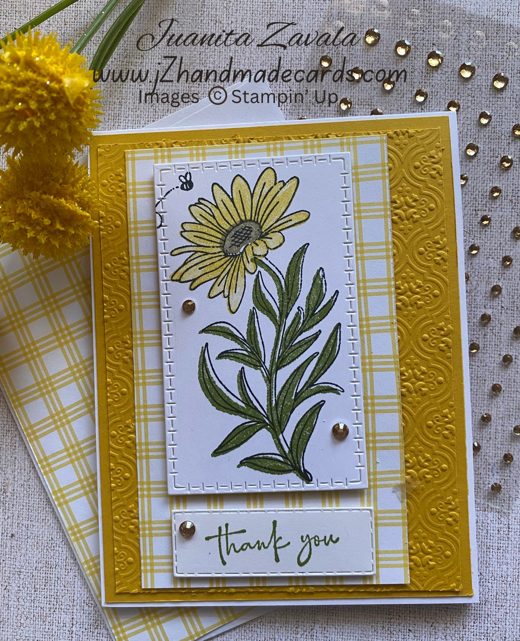 Thank You Daisy Card
