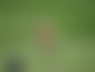 Round Three Match Reports