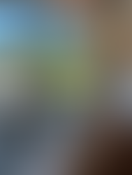 A Pet-Friendly Summer Road Trip: Luxe Staycations Your Pup Will Love 