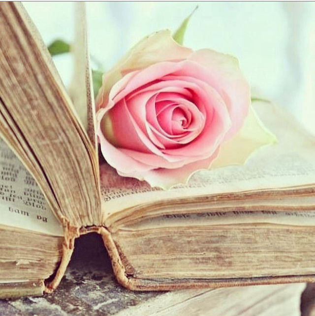 Rose words