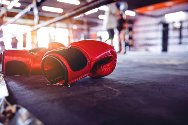 Best Boxing Gloves For Training And Essential Boxing At Home Equipment