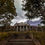 Thumbnail: The Homestead