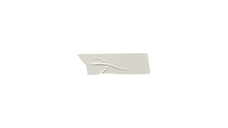 Untitled design (17)_edited.png