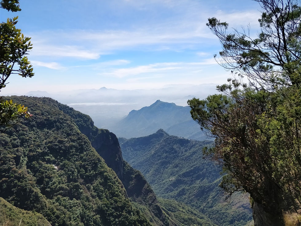 WhatsApp Image 2021-06-30 at 21.42.31.jpeg