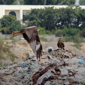 A Common Enemy Of Arch-Rivals: Can Pakistan & India Be Nemesis Of Environmental Pollution?
