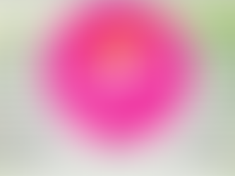 Tomislav Brumec: "Vsaka misel je energija in magnet"