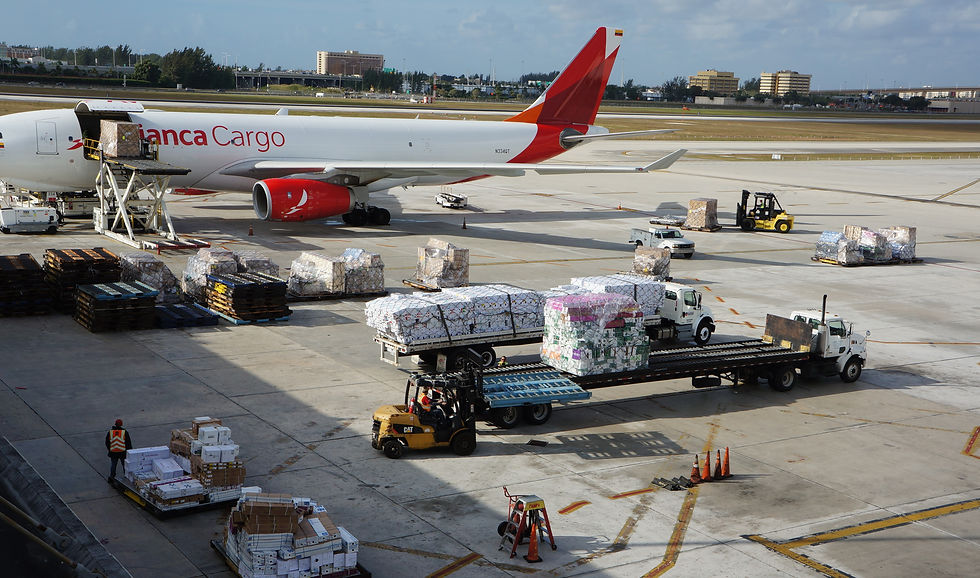 Flower Tour Avianca tarmac.JPG