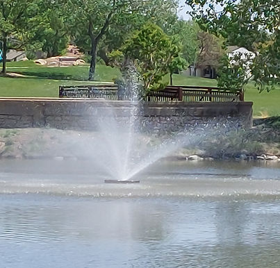 20250514_120331_edited.jpg